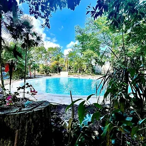 Hotel Tequila Cancun, Alfredo V. Bonfil